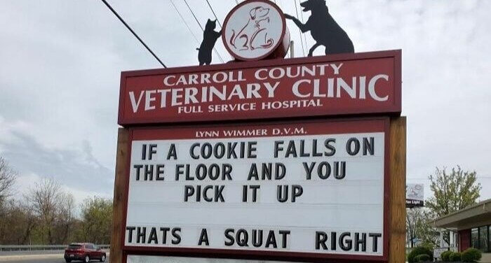 Getting in Your Daily Exercise