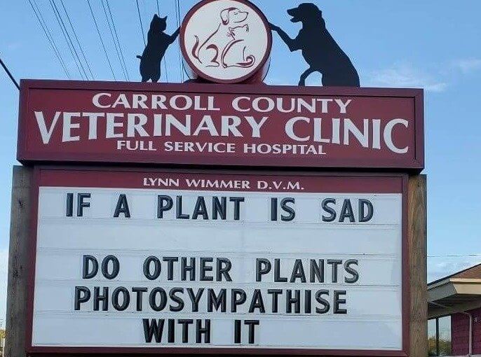 Plants Have Feelings, Too