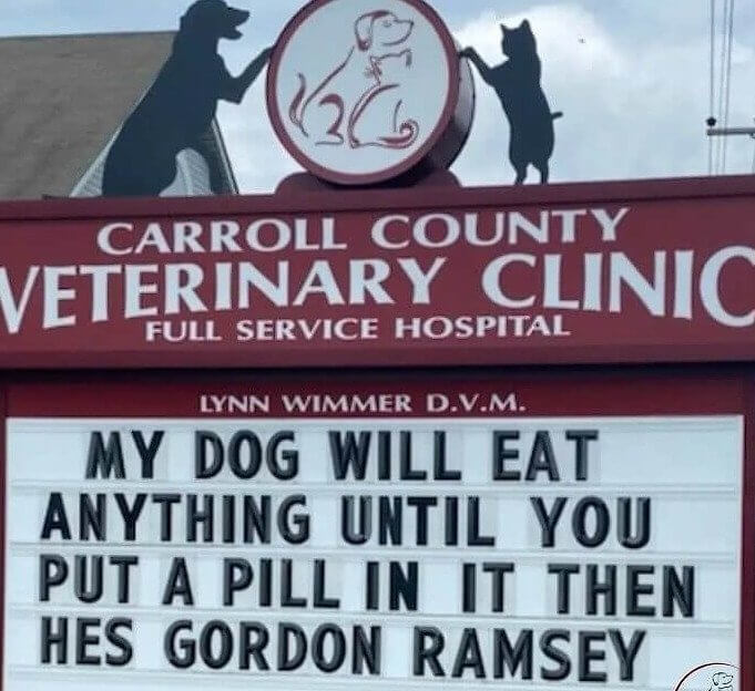 Gordon Ramsey's Veterinary Nightmare