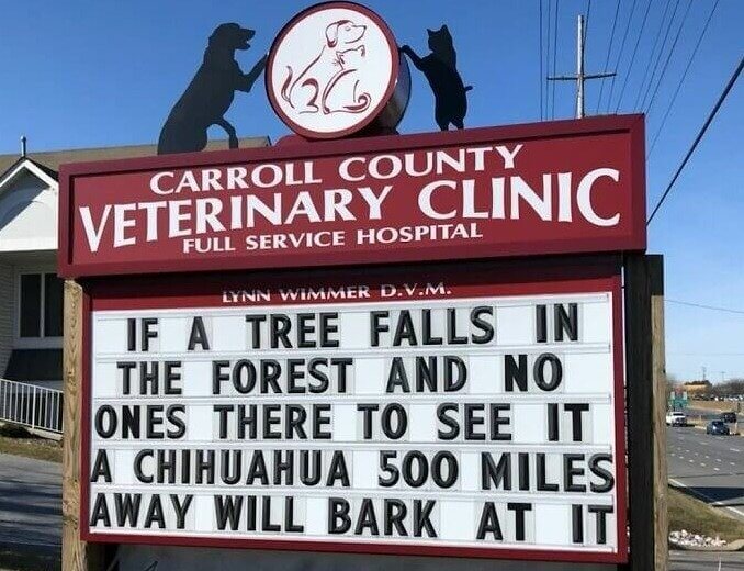 If A Tree Falls In The Forest...