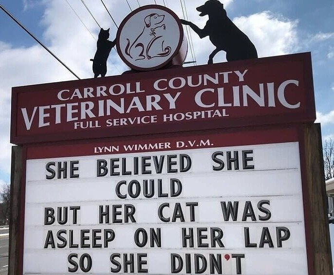 She Believed She Could, but Her Cat Thought Otherwise