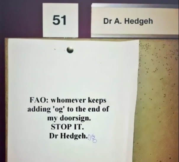 Dr. Hedgeh(og) Reporting For Duty