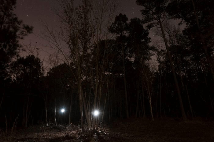 The Haunted Black Forest