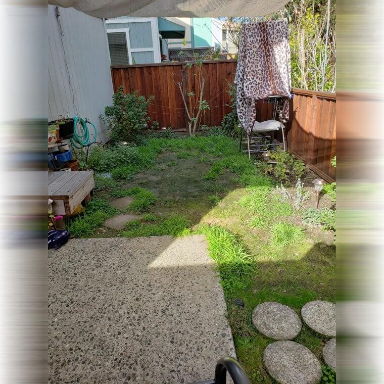 Small and Underutilized Backyards