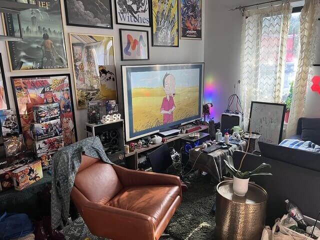 Cluttered Living Spaces: A Design Dilemma