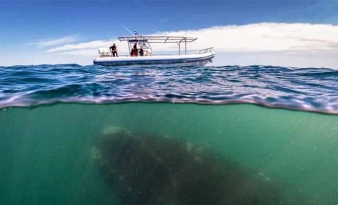 15 Beautiful Photos That Show How Interesting Our World Can Be