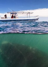 15 Beautiful Photos That Show How Interesting Our World Can Be