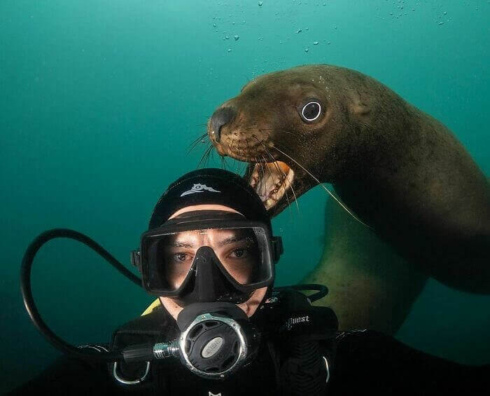 This Guy Wanted A Snack