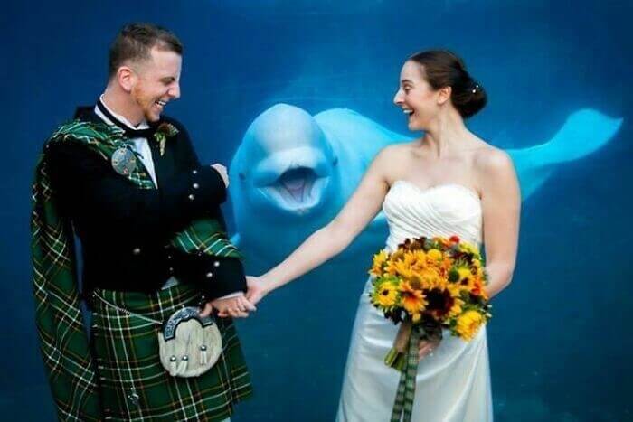 Another Beluga Whale That Wanted In On The Fun