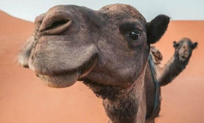 この写真の背景は、正面よりもずっと面白い。