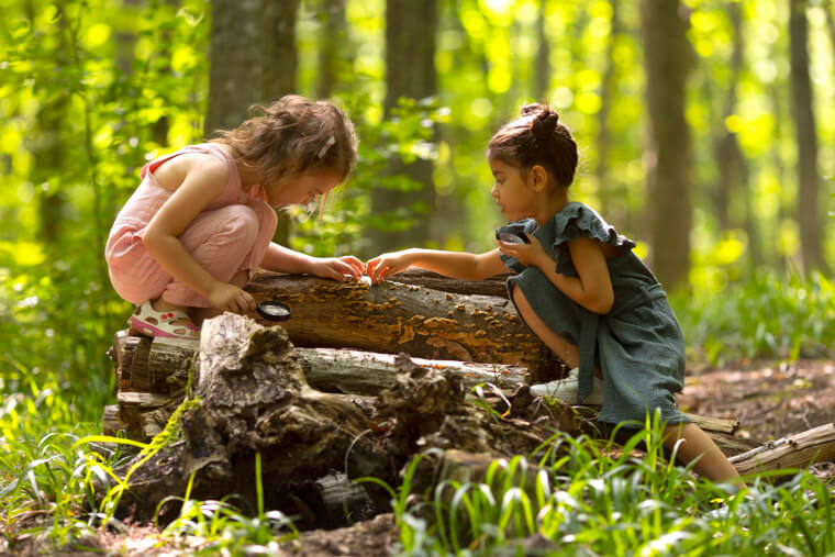 Exploring the Wilderness