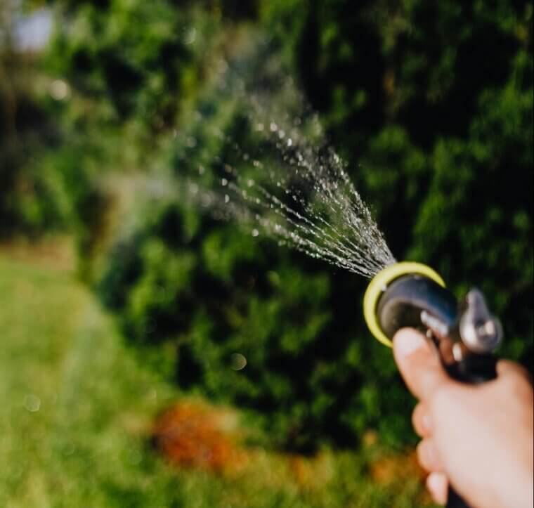 Drinking Straight From the Garden Hose