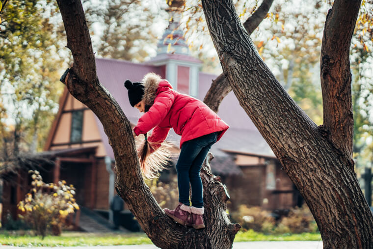 Climbing Trees Without Supervision