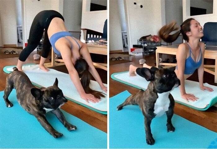 Downward Dog With The Dog