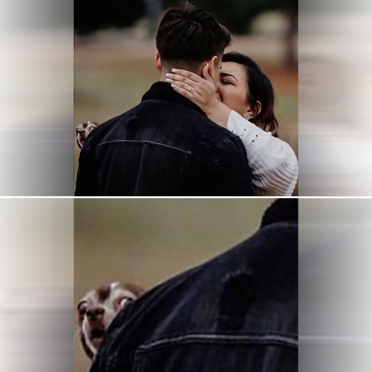 The Dog Wanted To Get In On The Engagement Photos