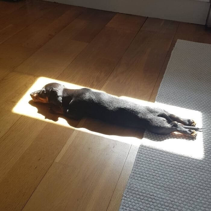 The Perfect Sunbathing Spot