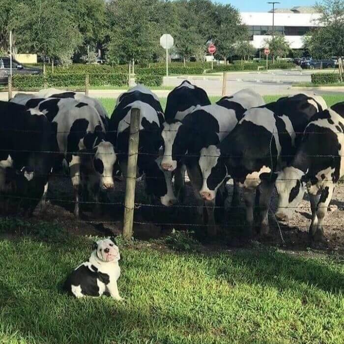 "Hey Mom, I Found My Siblings"