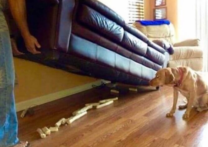 Biggest Drug Bust of The Year