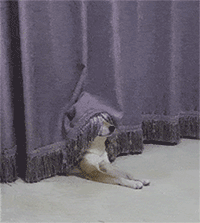 "Do You Like My New Weave?"