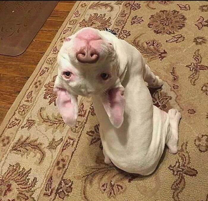 "Did You Say Something About Me?"