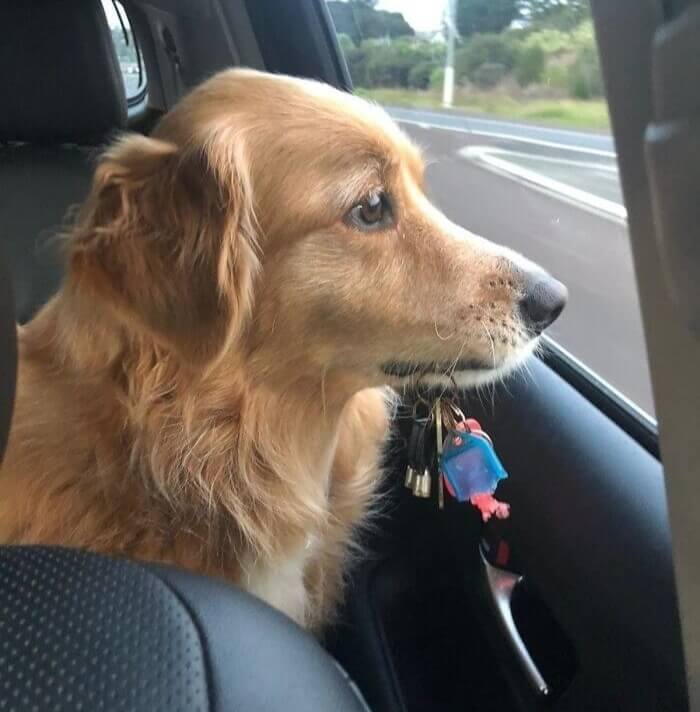 Billie Needed Her Own Set Of Keys For The Car