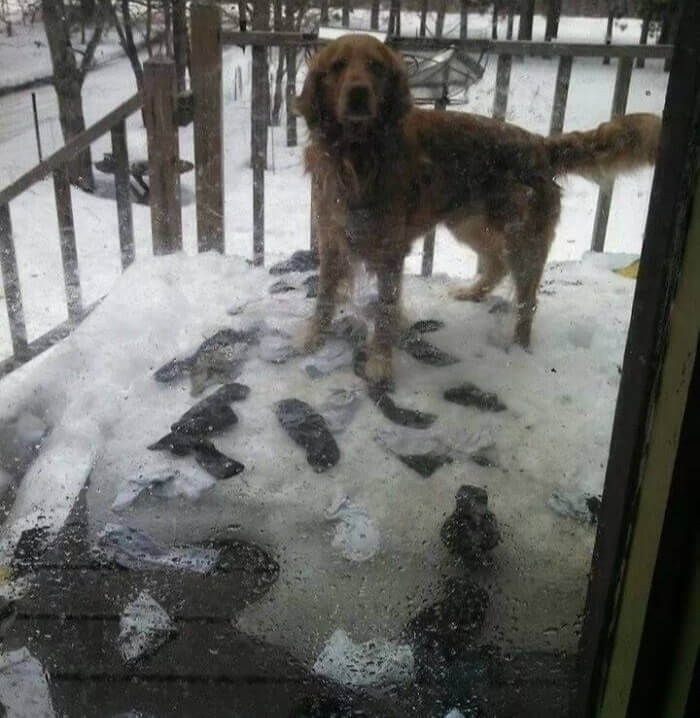 The Mystery Of The Missing Socks Has Been Solved Finally