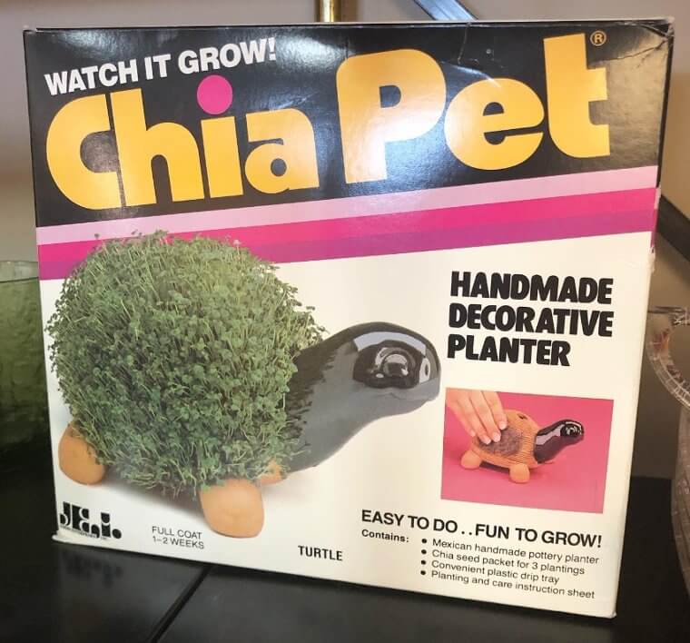 Chia Pets
