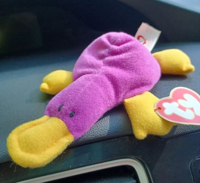 Patti the Platypus Beanie Baby