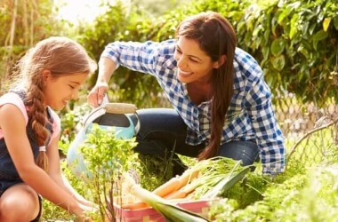 Beginner Gardeners Will Love How Easy It Is To Grow These Veggies At Home