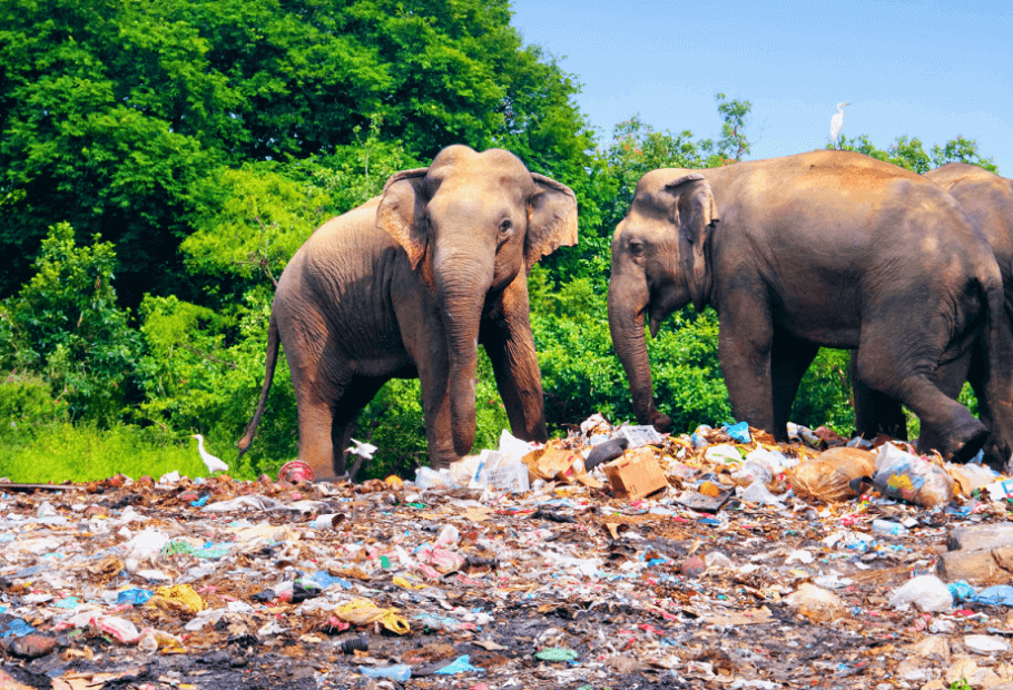 Estas fascinantes fotografías muestran los cambios que tuvo nuestro mundo en los últimos años