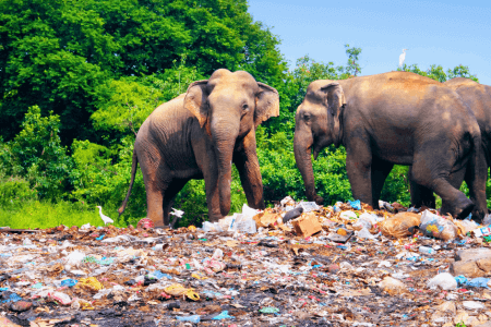 Queste Foto Accattivanti Mostrano I Cambiamenti Del Nostro Mondo Negli Ultimi Anni