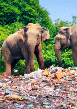 These Captivating Photos Show The Changes In Our World Over The Recent Years