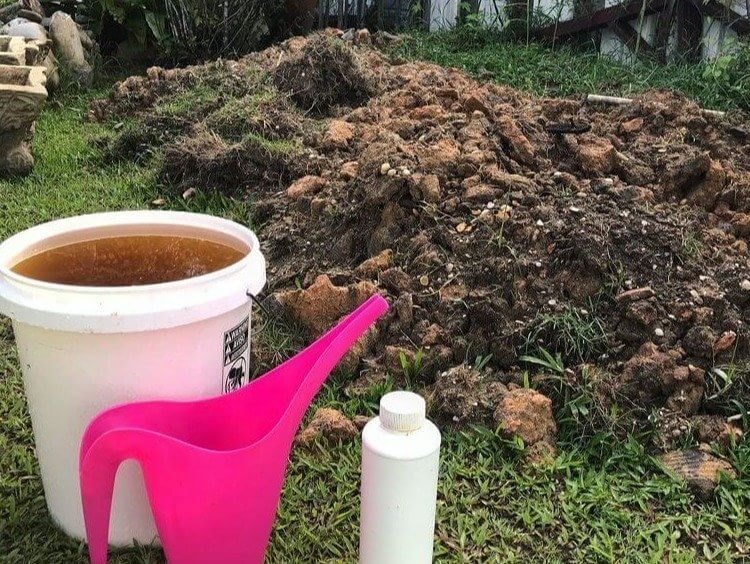 Our Soil Will Soon Be Infertile