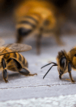 Facts About Our World That Left Us Scratching Our Heads