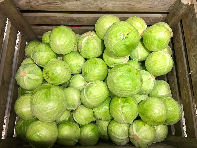 Fresh Looking Cabbage That Are Actually Covered in Formalin