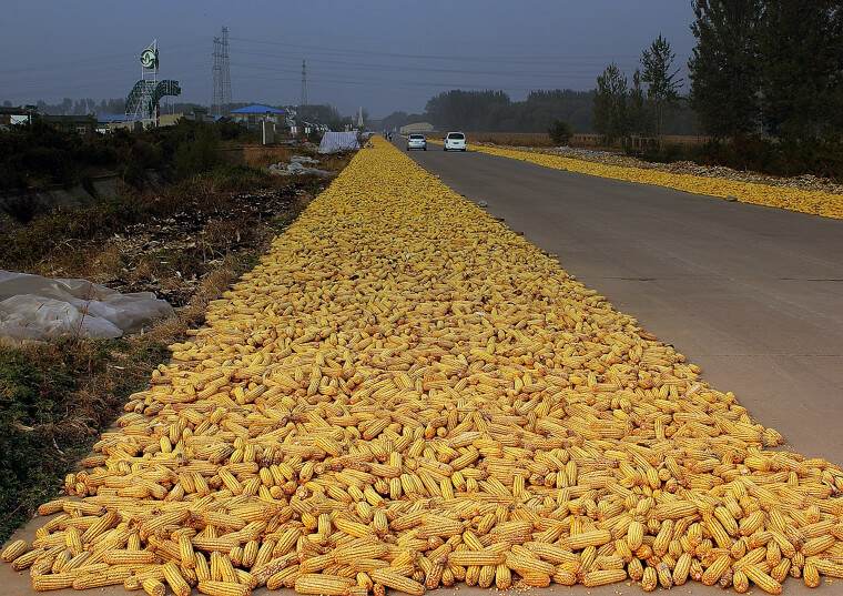 The Corn May Include Risky Additives