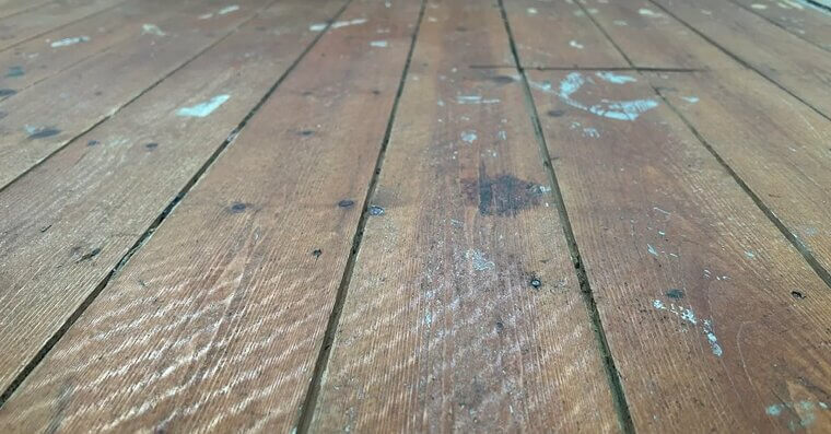 Squeaky Doors or Floors