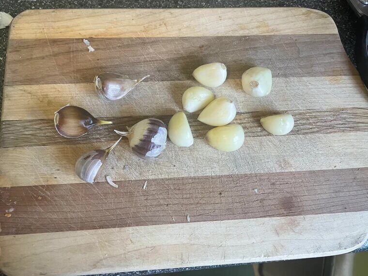 Garlic