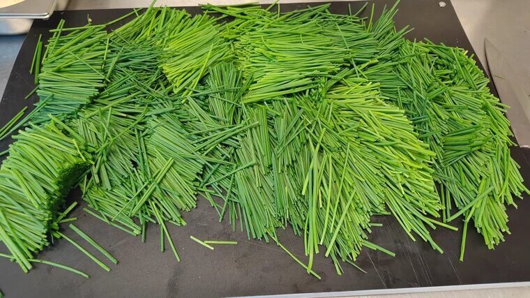 Chives
