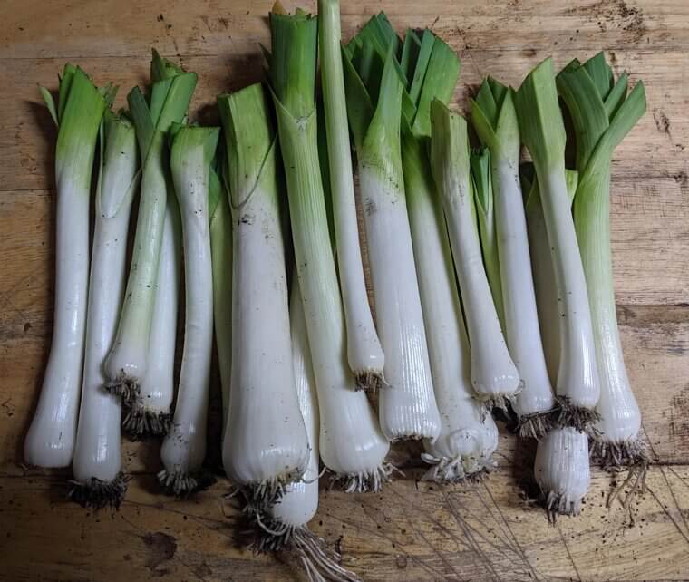 Leeks