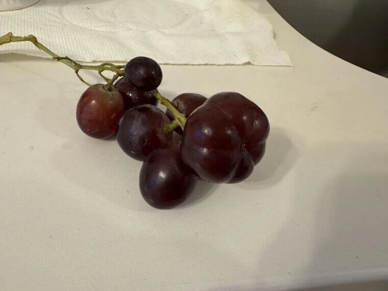 Grapes