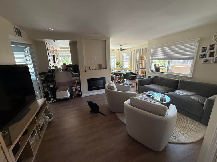 The Critical Failure of Privacy and Separation