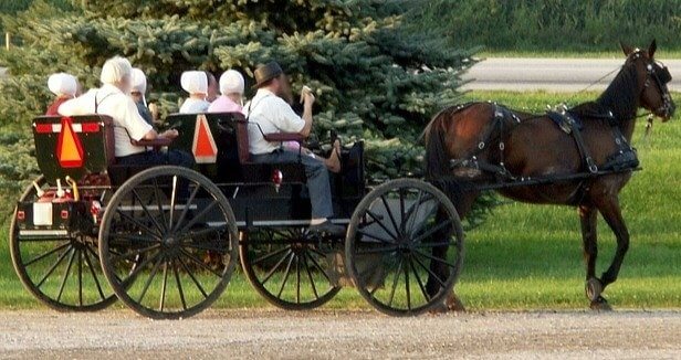 Amish Brides Sew Their Own Dresses