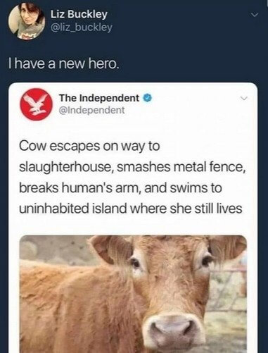 This Cow Said "not Today, Satan"