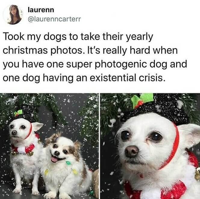 When You Really Dislike Taking Photos