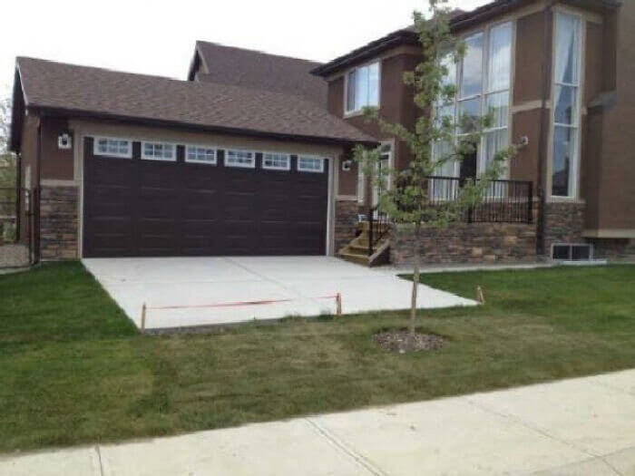 This Tree Was Placed In The Wrong Spot