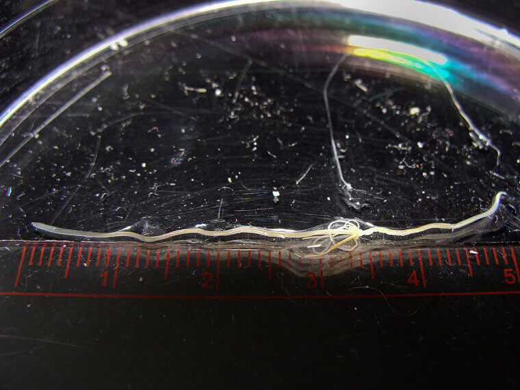 This Probably Isn't What You Think It Is