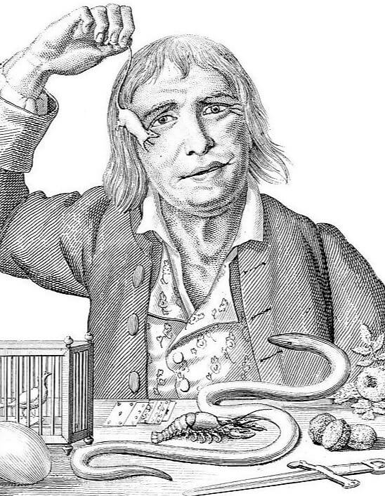 Crazy, Insatiable Appetites