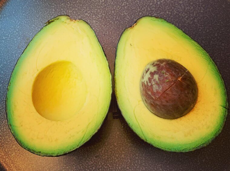 Avocado