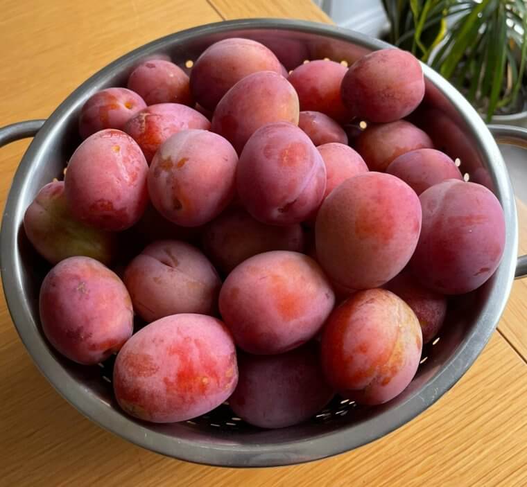 Plums